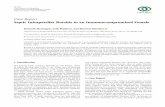 Case Report Septic Infrapatellar Bursitis in an …downloads.hindawi.com/journals/crior/2018/9086201.pdf · Case Report Septic Infrapatellar Bursitis in an Immunocompromised Female