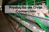 Produção de Ovos Comerciais - javali.fcav.unesp.brjavali.fcav.unesp.br/.../aula_7_introducao_postura.pdf · 5 - Uso de Gaiolas na Criação de Postura
