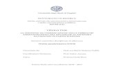 Diritto amministrativo IUS/10 - UniCA Eprintsveprints.unica.it/1386/1/PhD_Thesis_PoddaMS.pdf · Le basi del diritto amministrativo, Garzanti, Milano, 2000, e di Mattarella B.G., L’attività,