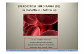 SFEROCITOSI EREDITARIA (SE): la malattia e il follow up · • EO: splenomegalia, pallore ed ittero (subittero), urine ipercromiche