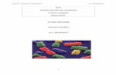 Tecnico Grafico a.s. 2016/2017 - zenale.edu.it · batteri virus protisti funghi -le proteine possono essere: enzimi,ormoni,fattori di coagulazione ... monere protisti funghi