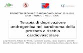 Terapia di deprivazione androgenica nel carcinoma della ...media.aiom.it/userfiles/files/doc/documenti_scientifici/2015... · IL CARCINOMA PROSTATICO ... • Neoadiuvante pre RT o