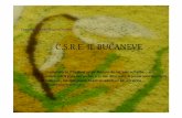 C.S.R.E. IL BUCANEVE - - La Bottega del PossibileLa Bottega … · Incrementare i tempi di concentrazione e la memoria . Raccontastorie. Lab. Musicale Giornalino. Attività Autonomia