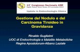 Gestione del Nodulo e del Carcinoma Tiroideo in Gravidanza · Background • the detection of thyroid nodules in pregnant women is a frequent finding and their best management is
