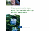 Strategia europea per la protezione della naturaec.europa.eu/environment/nature/info/pubs/docs/others/focus_it.pdf · chiedendo ai governi che venissero intraprese azioni a livello