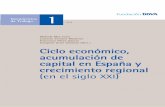 Ciclo económico, acumulación de capita en España y ... 2017 FBBVA.pdf · 1. La inversión en España. El inicio de un nuevo ciclo La inversión es una variable clave en el comportamiento
