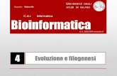 Docente: Matteo Re STUDI DI MILANOhomes.di.unimi.it/re/Corsi/Bioinfo13_DI/Biologia_computazionale_L4.pdf · Geni ortologhi: geni simili riscontrabili in organismi correlati tra loro.