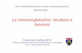 Le immunoglobuline: struttura e funzioni - asl2.liguria.it · Le immunoglobuline: struttura e funzioni ... Le sottoclassi 1 e 3 stimolano la reazione del complemento.. ... Stimolano