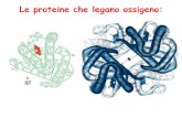 Le proteine che legano ossigeno - Homepage | DidatticaWEBdidattica.uniroma2.it/assets/uploads/corsi/148587/lezione_4... · Le proteine che legano ossigeno: . I cristalli si ottengono