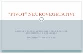 “PIVOT” NEUROVEGETATIVI · gangli e plessi autonomi della regione addominale e cervicale ! massimo tonietto d.o. “pivot” neurovegetativi