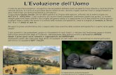 L’Evoluzione dell’Uomo evoluzione umana.pdf · Il naturalista Charles Darwin, ... evolutivo, la trasformazione dei canini uguali nei maschi e nelle femmine, tipico degli ominini.
