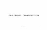 LEGGI DEI GAS / CALORI SPECIFICI - My LIUC - l'Intranet ...my.liuc.it/MatSup/2011/Y90304/SEIND-00-Introduzione.pdf · leggi dei gas / calori specifici introduzione 1. 1 - trasformazione
