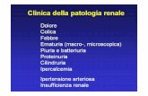 Patologia Urinaria 1 - fisiokinesiterapia.biz Urinaria 1.pdf · Proteinuria Cilindruria Ipercalcemia Ipertensione arteriosa ... Calcolosi renale "a stampo" bilaterale . Pielonefrite%a