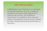 Metabolismo - tossicologia.disat.unimib.ittossicologia.disat.unimib.it/Metabolismo.pdf · GRASSI BIOTRASFORMAZIONI DI FASE I: Ossidazione Riduzione Idrolisi Lipofilo BIOTRASFORMAZIONI