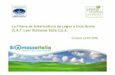La Filiera da Arboricoltura da Legno ... - Biomasse Italia SpA · Vengono considerate le biomasse effettivamente raccoglibili, escludendo quelle ... • Nessuna novità sull’incentivazione