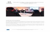 Deliverable 5.3: Report on the workshop on thermo-chemical ... · Case Bolzano by Alessandro Mazzocato, Alperia Case Hasselt by Jan Dreesen, City of Hasselt Case Newcastle, by Mohammad