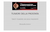 Tumori della prostata 15-4-16 - documenti.fullday.comdocumenti.fullday.com/AOSGA-Apr2016/AMINI.pdf · • Preferibile includere tutto il materiale nei soggetti più giovani (
