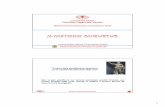 Croce Rossa Italiana Comitato Regionale Veneto 1° livello - pdf... · •Croce Rossa Italiana •Volontariato Sanitario Enti coinvolti: Istruttori Protezione Civile CRI Istruttori