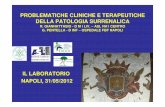 IL LABORATORIO NAPOLI, 31/05/2012 - raffaelegiannattasio.it · Flush transitorio al volto Non richiede l’interruzione ... • IPOSURRENALISMO PRIMITIVO: INUTILE IN PRESENZA DI VALORI