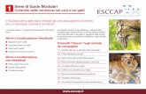 Serie di Guide Modulari Controllo delle verminosi nei cani e nei gatti · per il “controllo della salute degli animali d’affezione” così come programmi di “sverminazione”