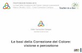 PHOTOSHOW ROMA 2012 Le basi della Correzione del Colore ... · Le basi della Correzione del Colore: visione e percezione Marco Olivotto / CCC ... RIPRESA CON FILTRO VERDE RIPRESA