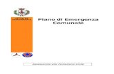 Piano Emergenza vers. 1.01[1] - Protezione Civile Gorgonzola · Evacuazione ... Il livello avanzato prevede un’accurata valutazione del rischio idrogeologico ... secondo la metodologia