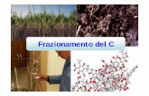 Frazionamento del C - SISS :: Società Italiana della ... · posspossibile effettuare la caratterizzazione chimica e spettroscopica: ... L’associazione delle particelle del suolo