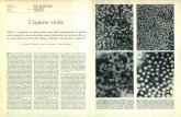 L'epatite virale - download.kataweb.itdownload.kataweb.it/mediaweb/pdf/espresso/scienze/1977_111_1.pdf · Questa importante reazione antigene--anticorpo fu scoperta e studiata inizial-mente