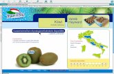 Varietà Kiwi Hayward - madeinblu.biz · > home > prodotti > frutta > kiwi > Download scheda prodotto in pdf > Download scheda pallettizzazione in pdf Caratteristiche Il prodotto