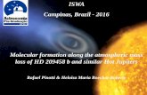 ISWA Campinas, Brazil - 2016 · ISWA . Campinas, Brazil - 2016 . Molecular formation along the atmospheric mass loss of HD 209458 b and similar Hot Jupiters . Rafael Pinotti & Heloisa