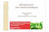 Biocarburanti: una visione strategica - GBEP · sull’impiego di nuovi catalizzatori per la produzione di biodiesel e sull’utilizzo di materie prime di scarto come gli oli esausti