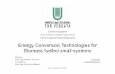 Energy Conversion Technologies for Biomass fuelled small ...engineering-sciences.uniroma2.it/MENU/DOC/TESI/2015/presentazione... · • CO 2 emissions ... similar method with the