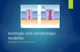 Ionotropic and metabotropic receptors - Università di Roma LUMSA · Recettori ionotropi della superfamiglia dei recettori nicotinici Glycin Excitatory - depolarization Inhibitors