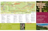 Weinlehrpfad Percorso didattico | Informative Wine Trail · Nel medioevo la coltivazione della vite ebbe un grande sviluppo, testimoniato ancora dalla presenza di diverse tenute vitivinicole