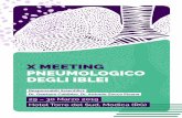 brochure X meeting iblei - meccongress.it · Obiettivo del corso è insomma quello di dare ai partecipanti un aggiornamento teorico-pratico sulle patologie respiratorie, secondo le
