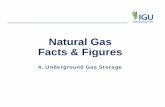 Natural Gas Facts & Figures - International Gas Union (IGU) · UGS Working Gas Volume by operators 0 10 20 30 40 50 60 Gazprom… Ukrtransgas STOGIT Dominion… Gazprom PHG Storengy