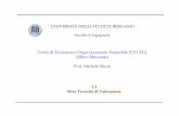 Facoltà di Ingegneria - UniBG EOA 3.3.pdf · Facoltà di Ingegneria Economia e Organizzazione Aziendale AA 2008 / 2009 Tecniche alternative - Tasso interno di rendimento (TIR) Tasso