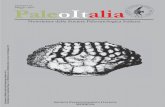 Numero 16 PMaggio 2007aleoItaliapaleoitalia.org/media/u/archives/PaleoItalia_16.pdf · teoria delle influenze celesti, attribuita ad Aristotele, riconduceva l’origine dei fossili