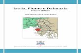 Istria, Fiume e Dalmazia - anvgd.it · v. la prima guerra mondiale La proclamazione del Regno d’Italia (1861) esercitò un forte richiamo culturale ed emotivo sulle popolazioni