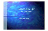 INFECTIONS HPV En pratiqueEn pratique · Atteinte multifocale possible. ... VIN Particularités Extension ... Association test HPV--FCV à 3 mois puis à FCV à 3 mois puis à
