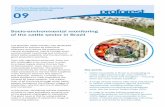 Socio-environmental monitoring of the cattle sector in Brazil · the GTFI defined a strategy for the cattle sector to improve its ability to reach indirect suppliers, which includes