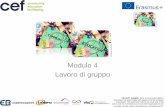Modulo 4 Lavoro di gruppo - communityeducation-eu.eu Community... · 2 Dinamiche di gruppo 3 Lavoro di gruppo efficace . PROJECT NUMBER: 2015-1-AT01-KA204-005011 This project has