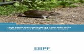 EBPF - ilflautomagico.it · 2 Indice dei contenuti 1. Introduzione 2 . Comportamento dei roditori in relazione all’uso di rodenticidi 3 . Scenari di trattamento rodenticida