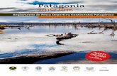 Patagonia · Texto Reglamento Comisión Consultiva de Pesca Continental Patagónica. Coordinación Asociación Argentina de Pesca con Mosca.  Arte de tapa
