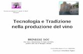 Tecnologia e Tradizione nella produzione del vino - itisff.it · Estrazione del DNA dalla frutta … Separazione meccanica delle cellule Preparazione della soluzione di estrazione