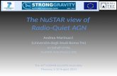 The NuSTAR view of Radio-Quiet AGN - StrongGravitystronggravity.eu/...35-Andrea-Marinucci-Moscow-Russian-Federation.pdf · Andrea Marinucci (Università degli Studi Roma Tre) on behalf