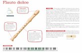 Flauto dolce - HOME: CHI-COSA-COME-PERCHE' | MUSIC-BOX · flauto traverso rende quest’ultimo strumento definitivamente più adatto a figurare nell’orchestra sinfonica. Dalla seconda