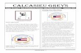 CALCASIEU GREYS - WordPress.com · Calcasieu Greys 2 Departments. Wilson angrily defended his actions and told them "segregation is not a humiliation but a benefit, and ought to be