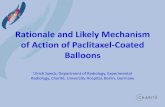 Rationale and Likely Mechanism of Action of Paclitaxel ... · Rationale and Likely Mechanism of Action of Paclitaxel-Coated Balloons Ulrich Speck; Department of Radiology, Experimental