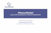 PhenoMeNalphenomenal-h2020.eu/home/wp-content/uploads/2015/10/PhenoMeNal... · PhenoMeNal Large Scale Computing for Medical Metabolomics Antonio Rosato rosato@cerm.unifi.it University